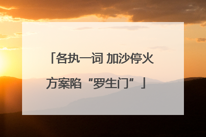 各执一词 加沙停火方案陷“罗生门”