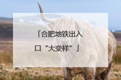 合肥地铁出入口“大变样”