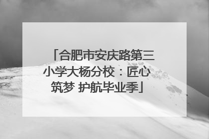 合肥市安庆路第三小学大杨分校：匠心筑梦 护航毕业季