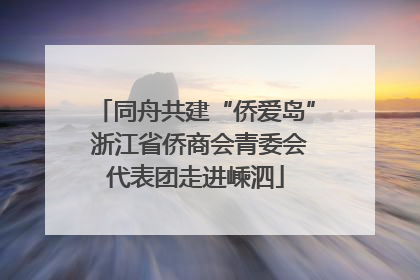 同舟共建“侨爱岛” 浙江省侨商会青委会代表团走进嵊泗