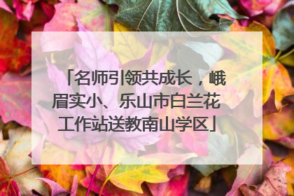 名师引领共成长，峨眉实小、乐山市白兰花工作站送教南山学区