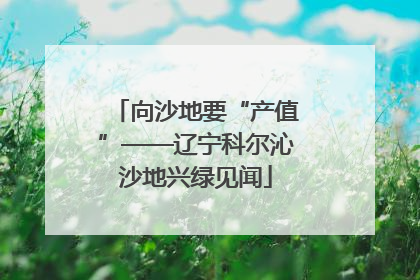 向沙地要“产值”——辽宁科尔沁沙地兴绿见闻
