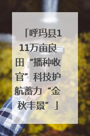 呼玛县111万亩良田“播种收官”科技护航蓄力“金秋丰景”