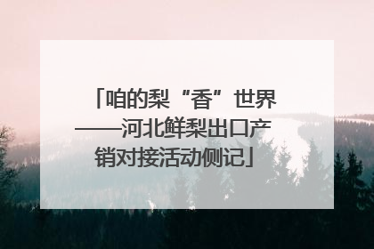 咱的梨“香”世界——河北鲜梨出口产销对接活动侧记