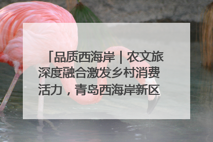 品质西海岸｜农文旅深度融合激发乡村消费活力，青岛西海岸新区的乡村振兴实践