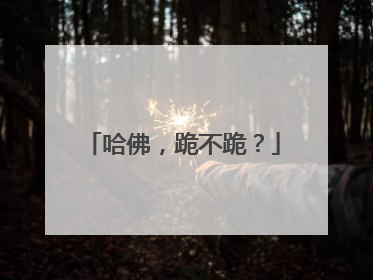 哈佛，跪不跪？