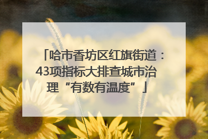 哈市香坊区红旗街道：43项指标大排查城市治理“有数有温度”