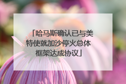 哈马斯确认已与美特使就加沙停火总体框架达成协议
