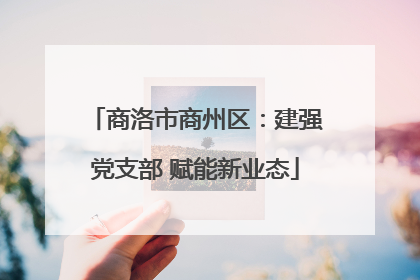 商洛市商州区：建强党支部 赋能新业态