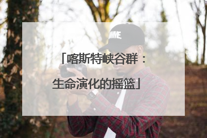 喀斯特峡谷群：生命演化的摇篮