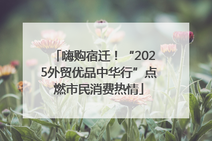 嗨购宿迁！“2025外贸优品中华行”点燃市民消费热情