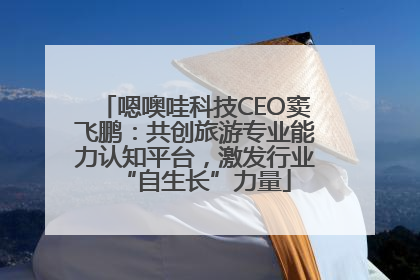 嗯噢哇科技CEO窦飞鹏：共创旅游专业能力认知平台，激发行业“自生长”力量