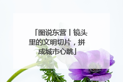 图说东营丨镜头里的文明切片，拼成城市心跳