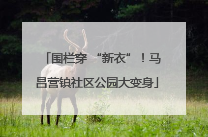 围栏穿 “新衣”！马昌营镇社区公园大变身