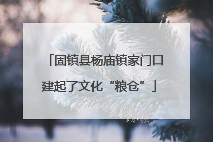 固镇县杨庙镇家门口建起了文化“粮仓”