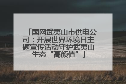 国网武夷山市供电公司：开展世界环境日主题宣传活动守护武夷山生态“高颜值”