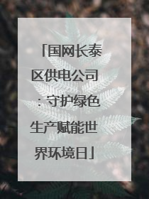 国网长泰区供电公司：守护绿色生产赋能世界环境日