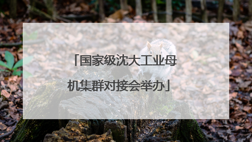 国家级沈大工业母机集群对接会举办