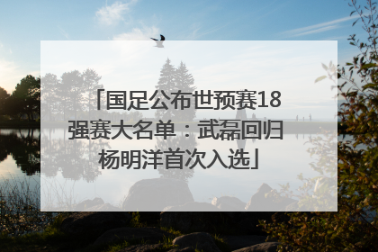 国足公布世预赛18强赛大名单：武磊回归 杨明洋首次入选