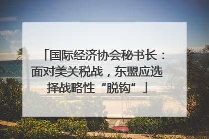 国际经济协会秘书长：面对美关税战，东盟应选择战略性“脱钩”