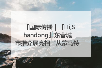 国际传播｜「Hi,Shandong」东营城市推介展亮相“从蒙马特到加里波第”文化节