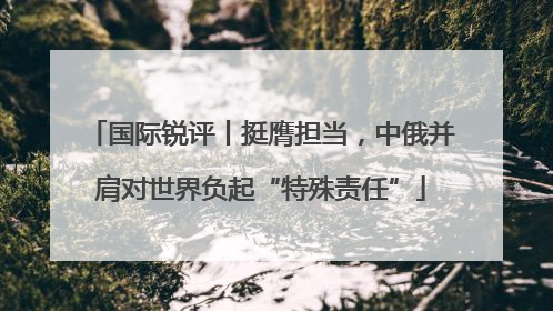 国际锐评丨挺膺担当，中俄并肩对世界负起“特殊责任”