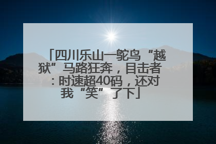 四川乐山一鸵鸟“越狱”马路狂奔，目击者：时速超40码，还对我“笑”了下