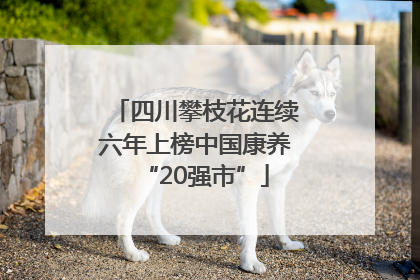 四川攀枝花连续六年上榜中国康养“20强市”