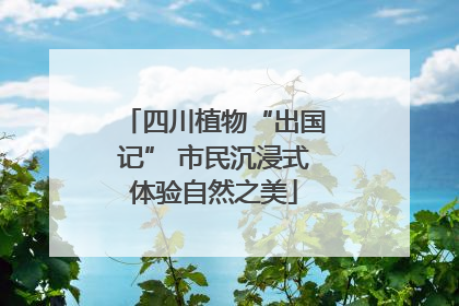 四川植物“出国记” 市民沉浸式体验自然之美