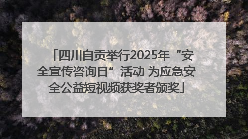 四川自贡举行2025年“安全宣传咨询日”活动 为应急安全公益短视频获奖者颁奖
