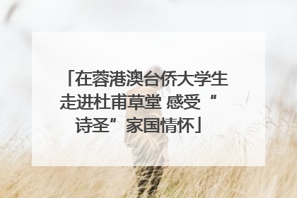 在蓉港澳台侨大学生走进杜甫草堂 感受“诗圣”家国情怀