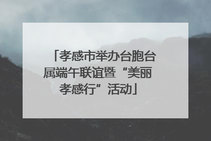 孝感市举办台胞台属端午联谊暨“美丽孝感行”活动