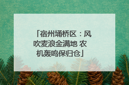 宿州埇桥区：风吹麦浪金满地 农机轰鸣保归仓