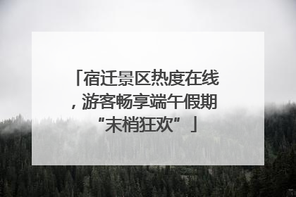 宿迁景区热度在线，游客畅享端午假期“末梢狂欢”