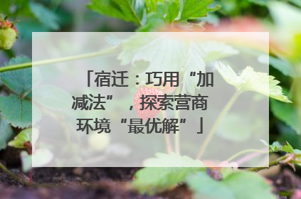 宿迁：巧用“加减法”，探索营商环境“最优解”