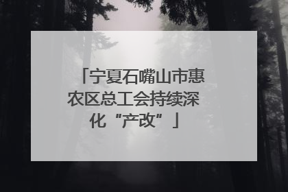 宁夏石嘴山市惠农区总工会持续深化“产改”