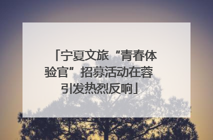 宁夏文旅“青春体验官”招募活动在蓉引发热烈反响