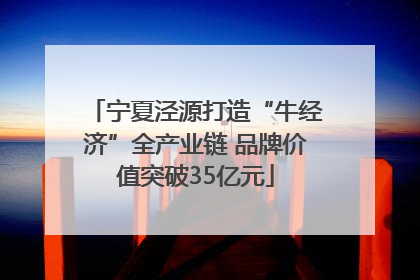 宁夏泾源打造“牛经济”全产业链 品牌价值突破35亿元