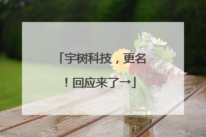 宇树科技，更名！回应来了→