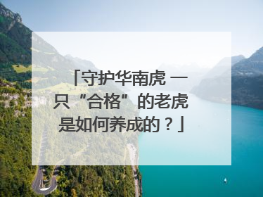 守护华南虎 一只“合格”的老虎是如何养成的？