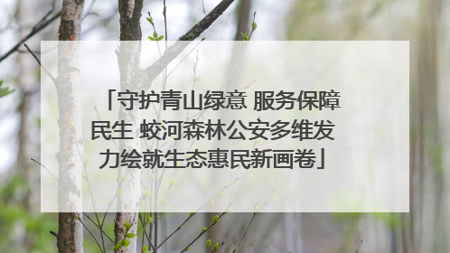 守护青山绿意 服务保障民生 蛟河森林公安多维发力绘就生态惠民新画卷