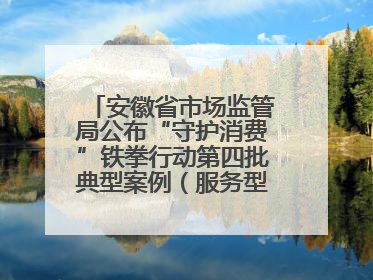 安徽省市场监管局公布“守护消费”铁拳行动第四批典型案例（服务型执法专刊）