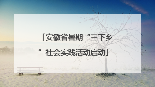 安徽省暑期“三下乡”社会实践活动启动