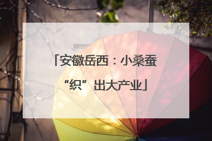 安徽岳西：小桑蚕“织”出大产业
