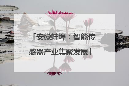 安徽蚌埠：智能传感器产业集聚发展