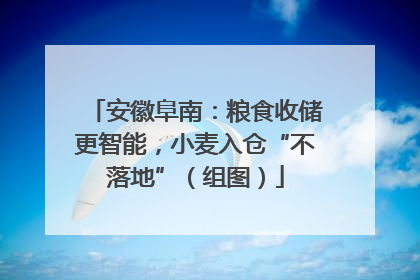 安徽阜南：粮食收储更智能，小麦入仓“不落地”（组图）
