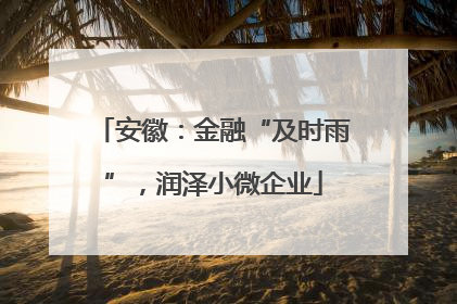 安徽：金融“及时雨”，润泽小微企业