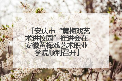 安庆市“黄梅戏艺术进校园”推进会在安徽黄梅戏艺术职业学院顺利召开
