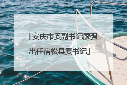 安庆市委副书记廖强出任宿松县委书记