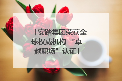 安踏集团荣获全球权威机构 “卓越职场”认证